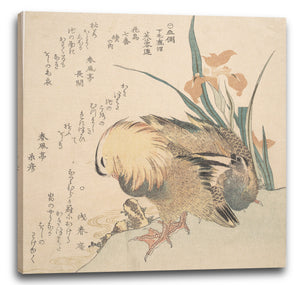 Leinwandbild Kubo Shunman - Paar Mandarinen-Enten und Iris-Blumen