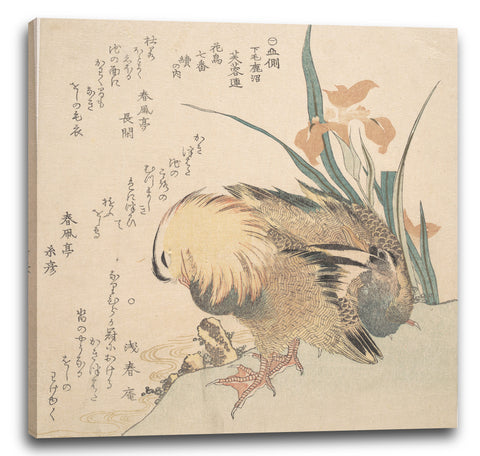 Leinwandbild Kubo Shunman - Paar Mandarinen-Enten und Iris-Blumen
