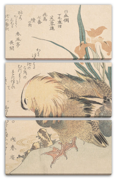 Leinwandbild Kubo Shunman - Paar Mandarinen-Enten und Iris-Blumen