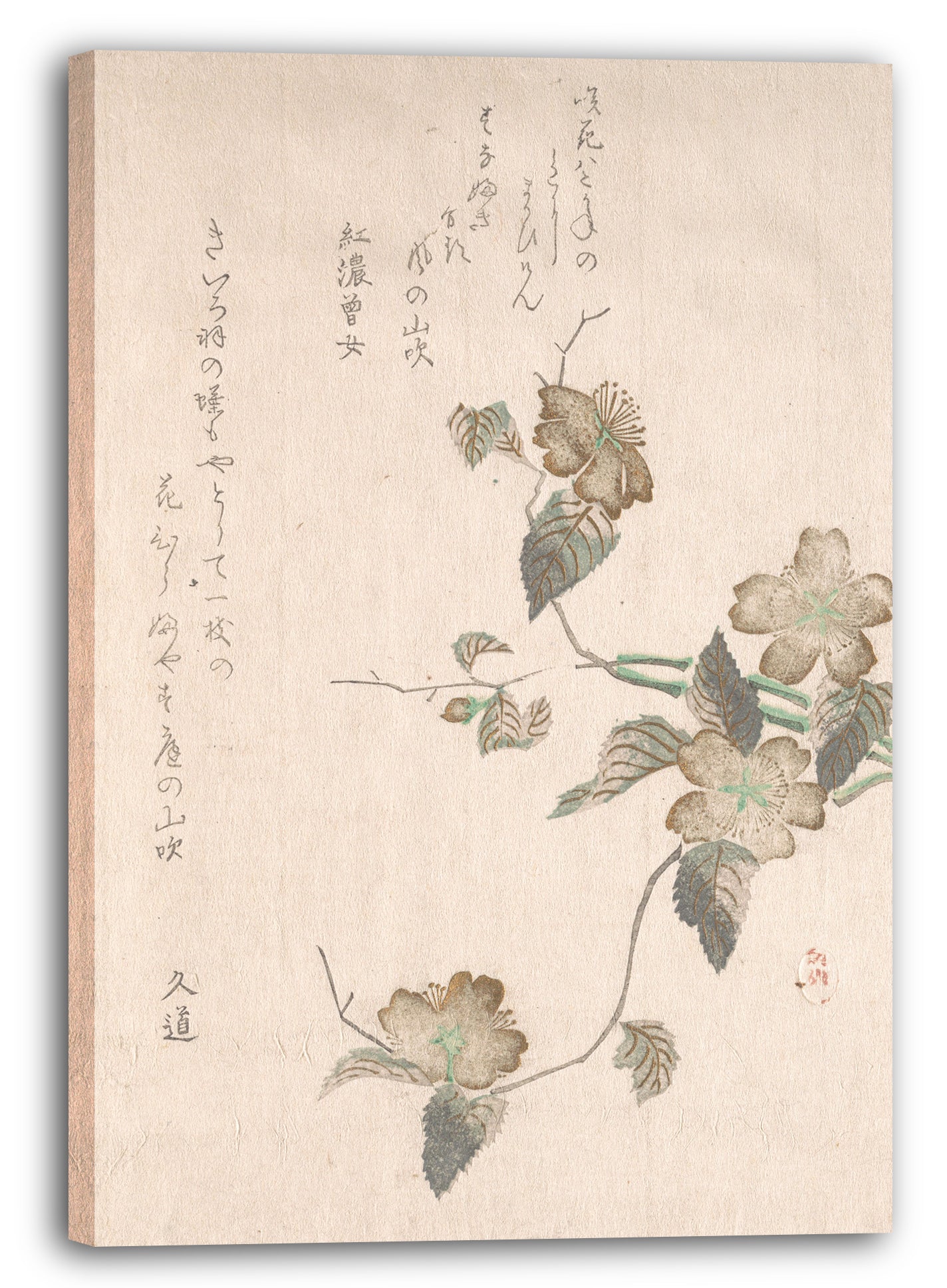 Leinwandbild Nicht identifizierter Künstler - Yamabuki Blumen (Kerria Japonica)