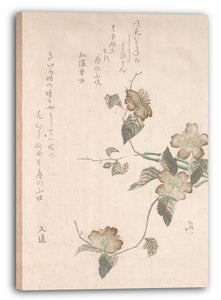Leinwandbild Nicht identifizierter Künstler - Yamabuki Blumen (Kerria Japonica)