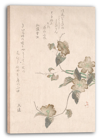Leinwandbild Nicht identifizierter Künstler - Yamabuki Blumen (Kerria Japonica)
