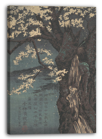 Leinwandbild Kobayashi Kiyochika - Kirschbaum