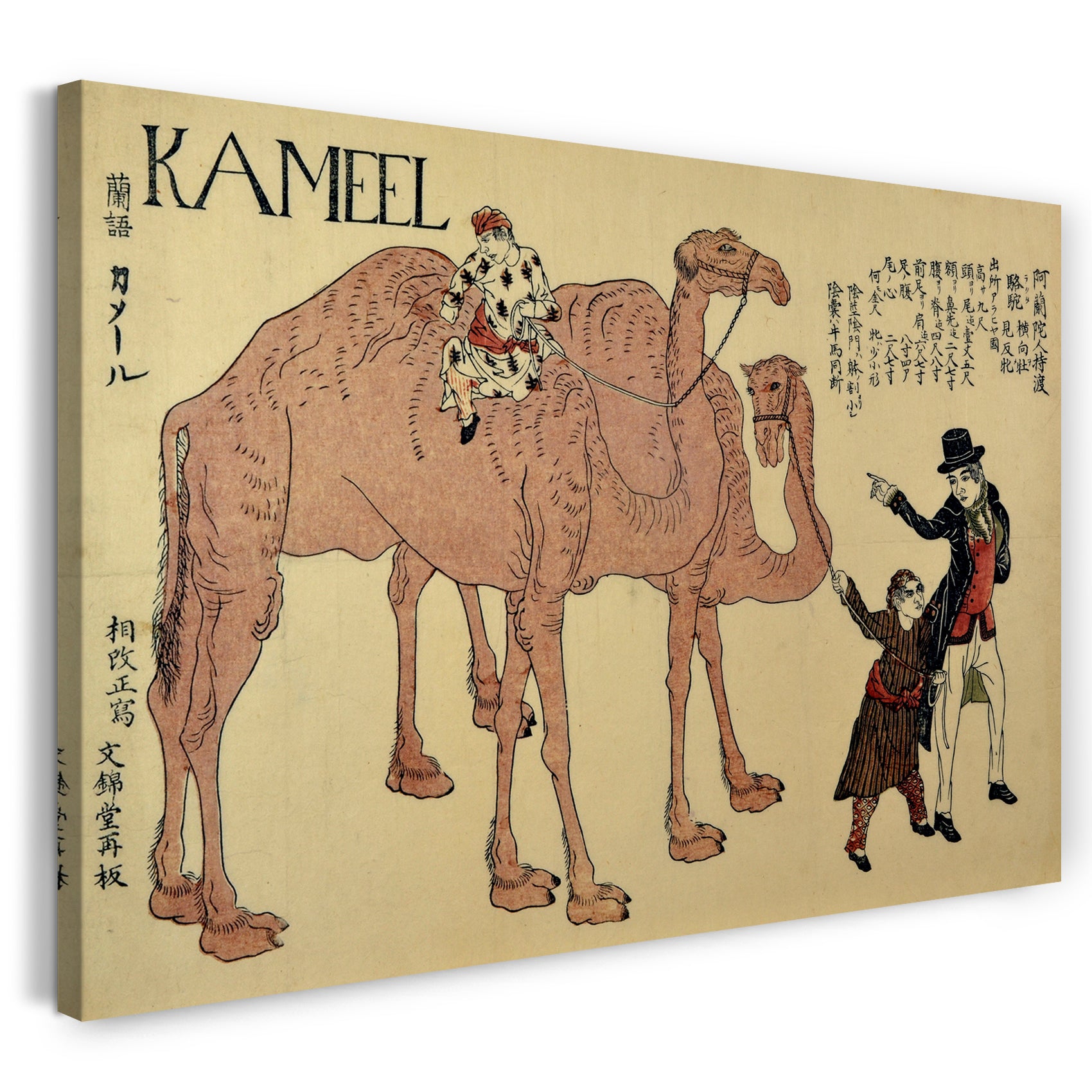 Leinwandbild Nicht identifizierter Künstler Japanisch, 19. Jahrhundert - Kamele mit holländischem Führer
