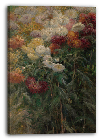Leinwandbild Gustave Caillebotte - Chrysanthemen im Garten bei Petit-Gennevilliers