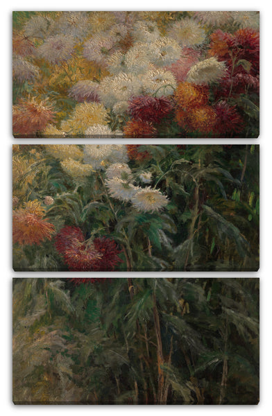 Leinwandbild Gustave Caillebotte - Chrysanthemen im Garten bei Petit-Gennevilliers