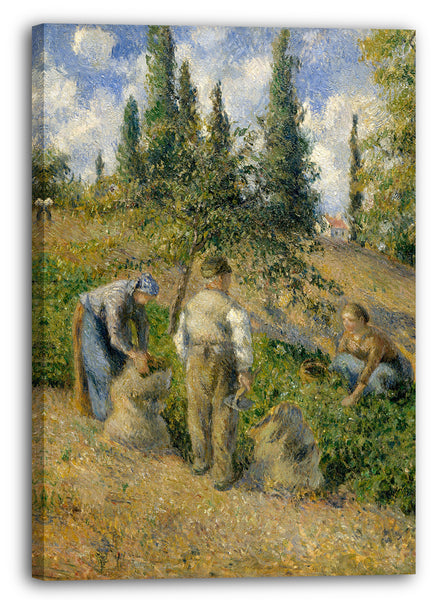 Leinwandbild Camille Pissarro - Die Ernte, Pontoise (La Récolte, Pontoise)