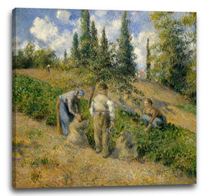 Leinwandbild Camille Pissarro - Die Ernte, Pontoise (La Récolte, Pontoise)
