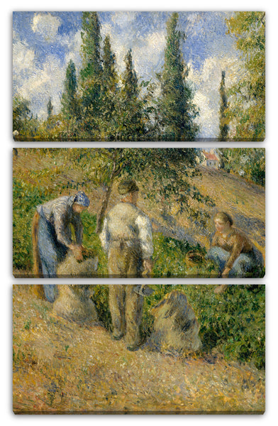 Leinwandbild Camille Pissarro - Die Ernte, Pontoise (La Récolte, Pontoise)