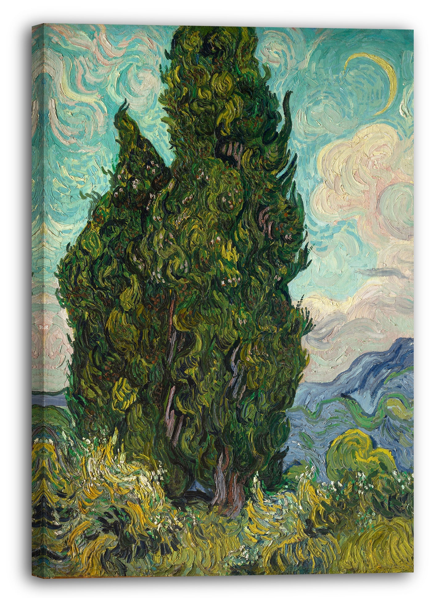 Leinwandbild Vincent van Gogh - Zypressen