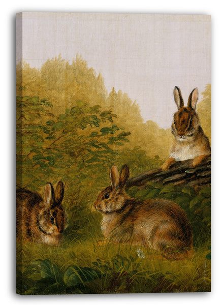 Leinwandbild Arthur Fitzwilliam Tait - Kaninchen auf einem Baumstamm