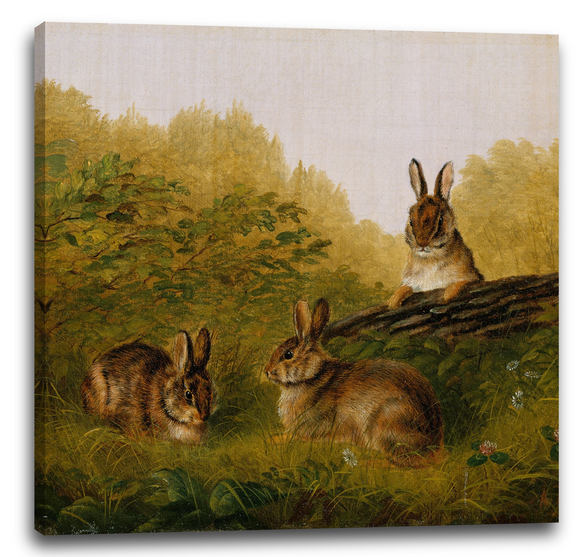Leinwandbild Arthur Fitzwilliam Tait - Kaninchen auf einem Baumstamm