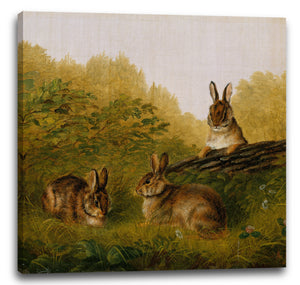 Leinwandbild Arthur Fitzwilliam Tait - Kaninchen auf einem Baumstamm