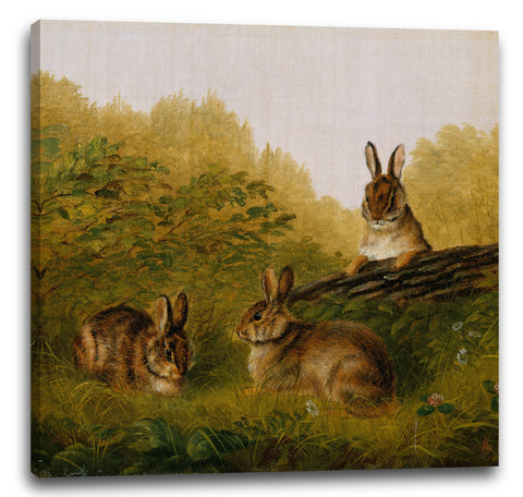Leinwandbild Arthur Fitzwilliam Tait - Kaninchen auf einem Baumstamm