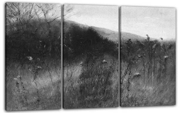 Leinwandbild John Francis Murphy - Landschaft