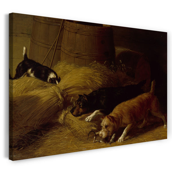 Leinwandbild Thomas Hewes Hinckley - Ratten unter den Gerstenscheiben