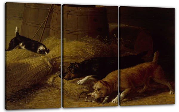 Leinwandbild Thomas Hewes Hinckley - Ratten unter den Gerstenscheiben