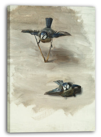 Leinwandbild John Singer Sargent - Studien eines toten Vogels