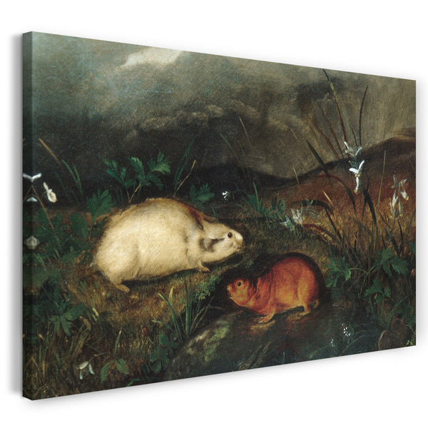 Leinwandbild John Woodhouse Audubon - Hudson's Bay Lemming