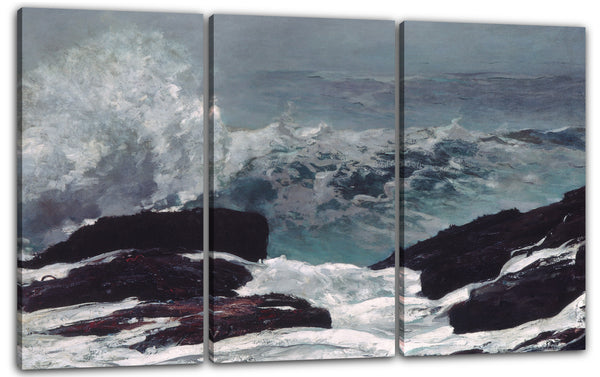 Leinwandbild Winslow Homer - Maine Küste