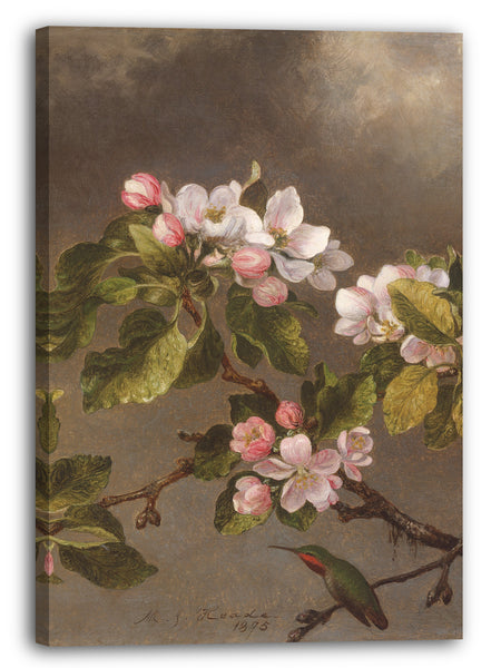 Leinwandbild Martin Johnson Heade - Kolibri und Apfelblüten