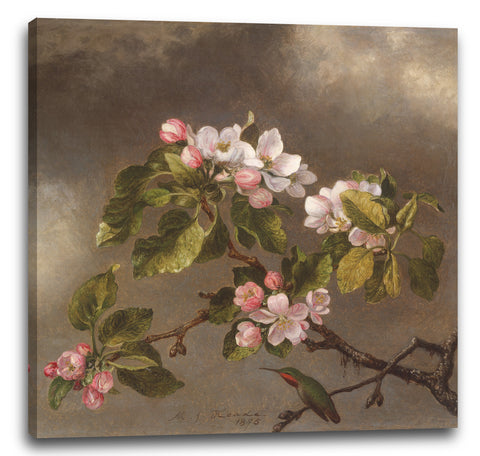 Leinwandbild Martin Johnson Heade - Kolibri und Apfelblüten