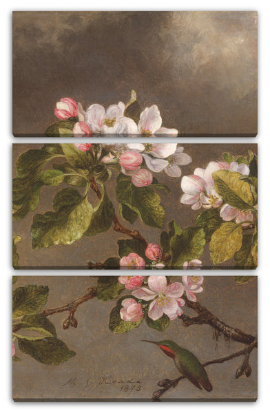 Leinwandbild Martin Johnson Heade - Kolibri und Apfelblüten