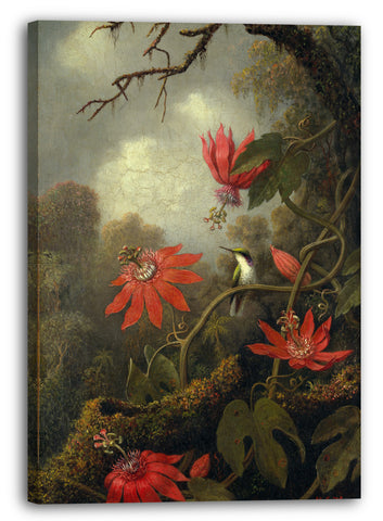 Leinwandbild Martin Johnson Heade - Kolibri und Passionsblumen