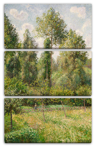 Leinwandbild Camille Pissarro - Pappeln, Éragny