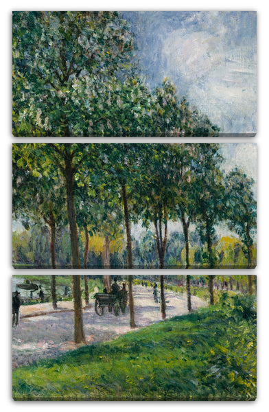 Leinwandbild Alfred Sisley - Allée von Kastanienbäumen