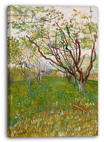 Leinwandbild Vincent van Gogh - Der blühende Obstgarten