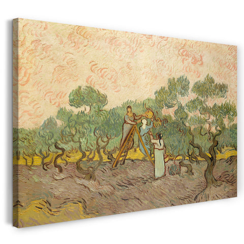 Leinwandbild Vincent van Gogh - Frauen pflücken Oliven