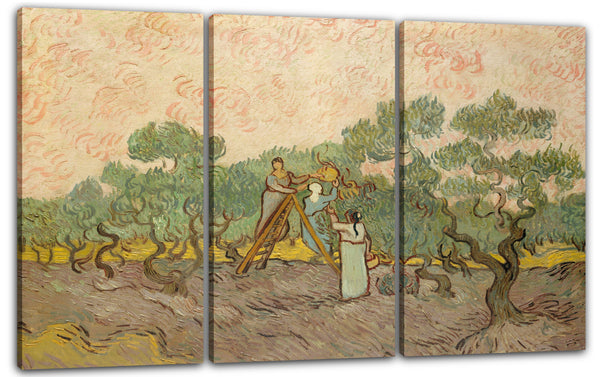 Leinwandbild Vincent van Gogh - Frauen pflücken Oliven
