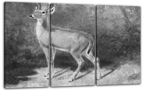 Leinwandbild Arthur Fitzwilliam Tait - Hirsch-Skizze aus der Natur