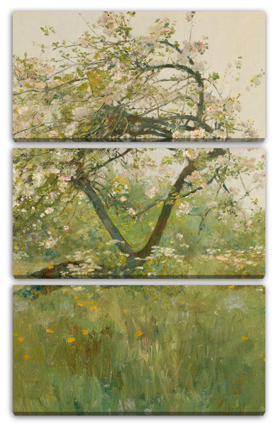 Leinwandbild Childe Hassam - Pfirsichblüten - Villiers-le-Bel