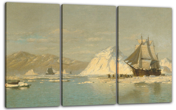 Leinwandbild William Bradford - Vor Grönland - Walfangschiff auf der Suche nach offenen Gewässern