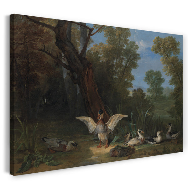 Top-Angebot Kunstdruck Jean-Baptiste Oudry - Enten, die im Sonnenschein stillstehen Leinwand auf Keilrahmen gespannt