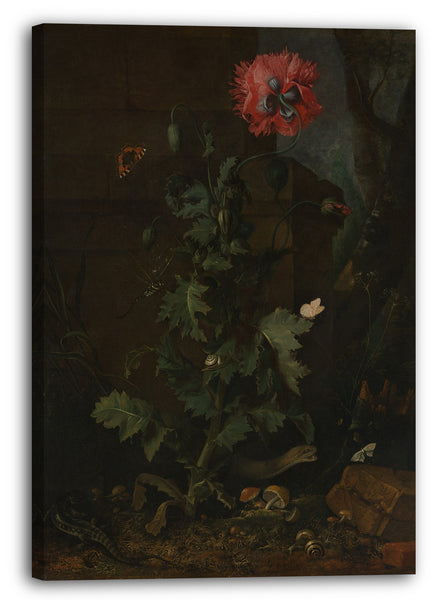Top-Angebot Kunstdruck Otto Marseus van Schrieck - Stillleben mit Mohn, Insekten und Reptilien Leinwand auf Keilrahmen gespannt