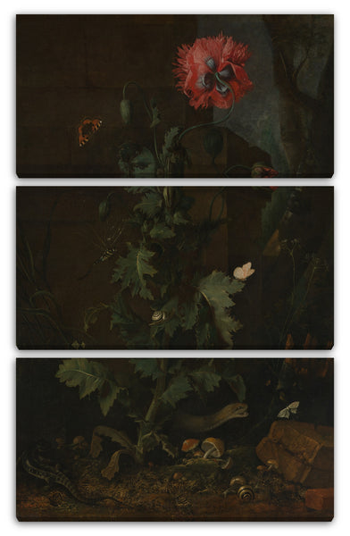 Leinwandbild Otto Marseus van Schrieck - Stillleben mit Mohn, Insekten und Reptilien