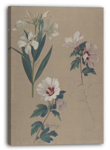 Top-Angebot Kunstdruck Adolf Senff - Studie von Hibiskuspflanzen Leinwand auf Keilrahmen gespannt