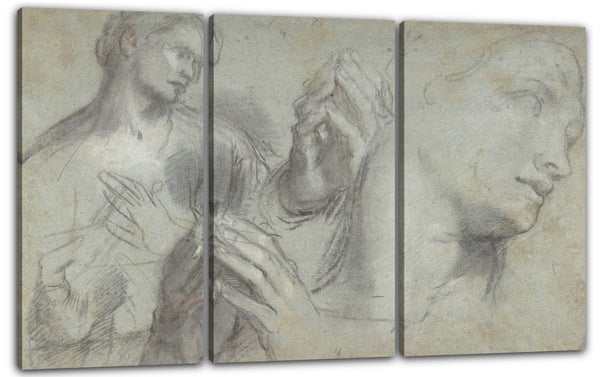 Leinwandbild Federico Barocci - Studien über den Kopf und die Hände eines Mannes
