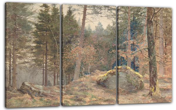 Leinwandbild James Thomas Watts - In einem walisischen Kiefernholz