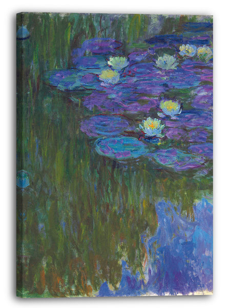 Leinwandbild Claude Monet - Seerosen in voller Blüte