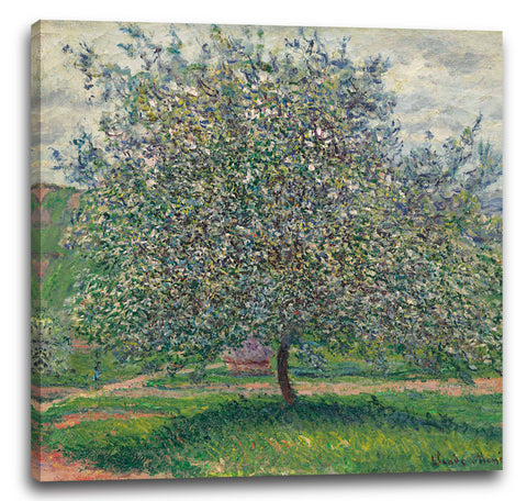Leinwandbild Claude Monet - Apfelbaum