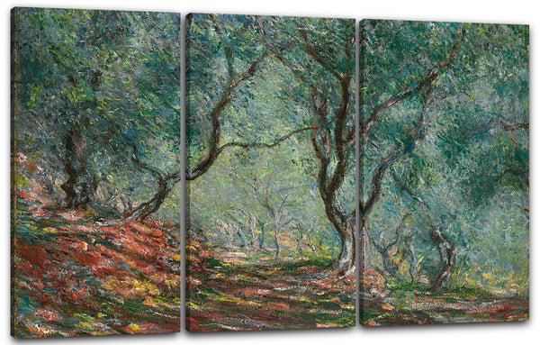 Leinwandbild Claude Monet - Olivenholz im Moreno Garten