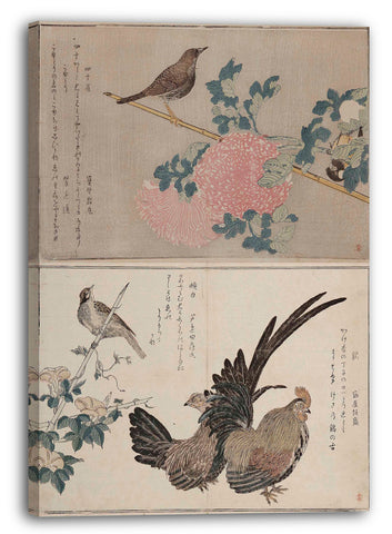 Top-Angebot Kunstdruck Kitagawa Utamaro - Der Erste: Leinwand auf Keilrahmen gespannt