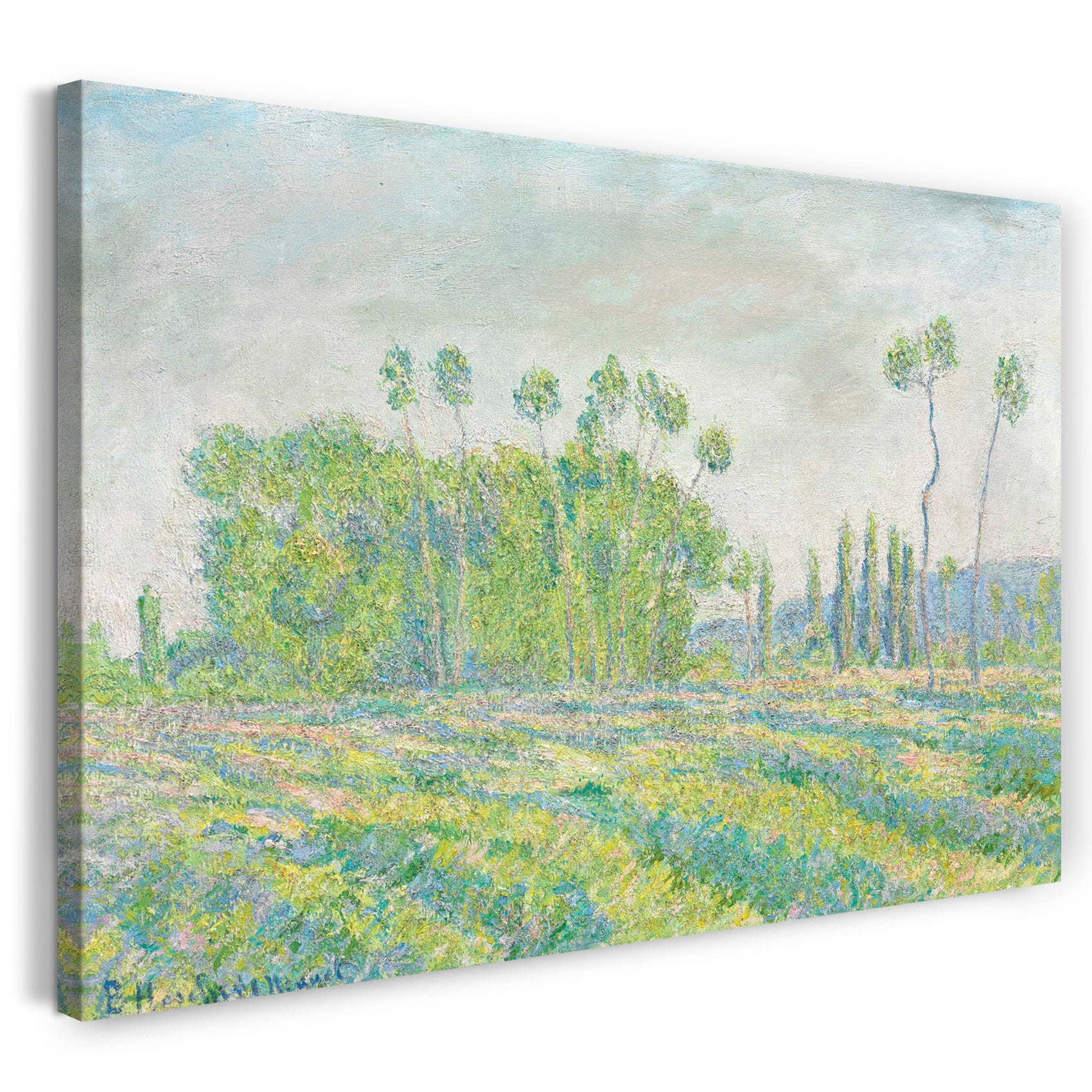 Leinwandbild Blanche Hoschedé Monet - Giverny, Pappeln von Ajoux